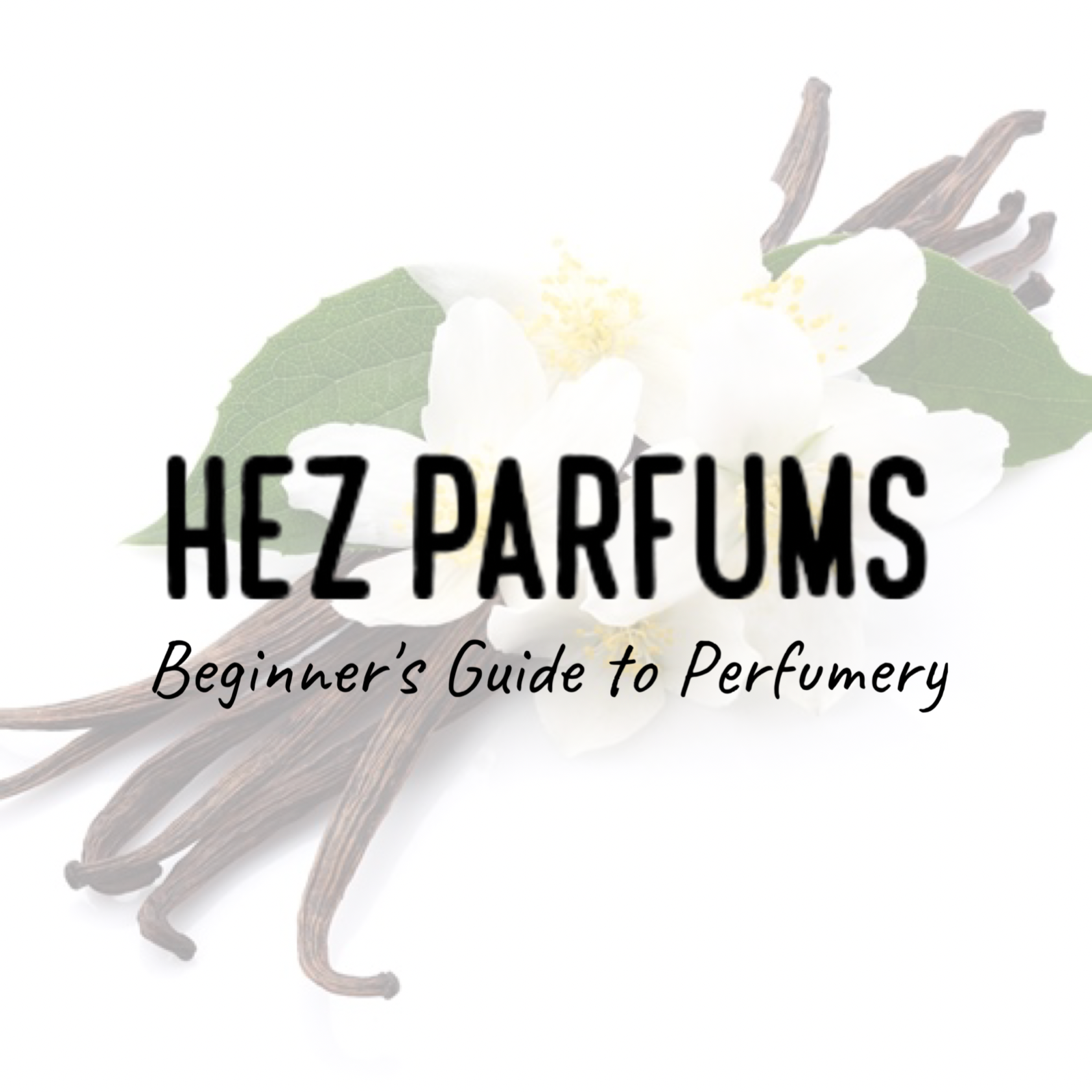 Hez Parfums Beginner's Guide to Perfumery 008 -The Role of Vanilla in Perfumery