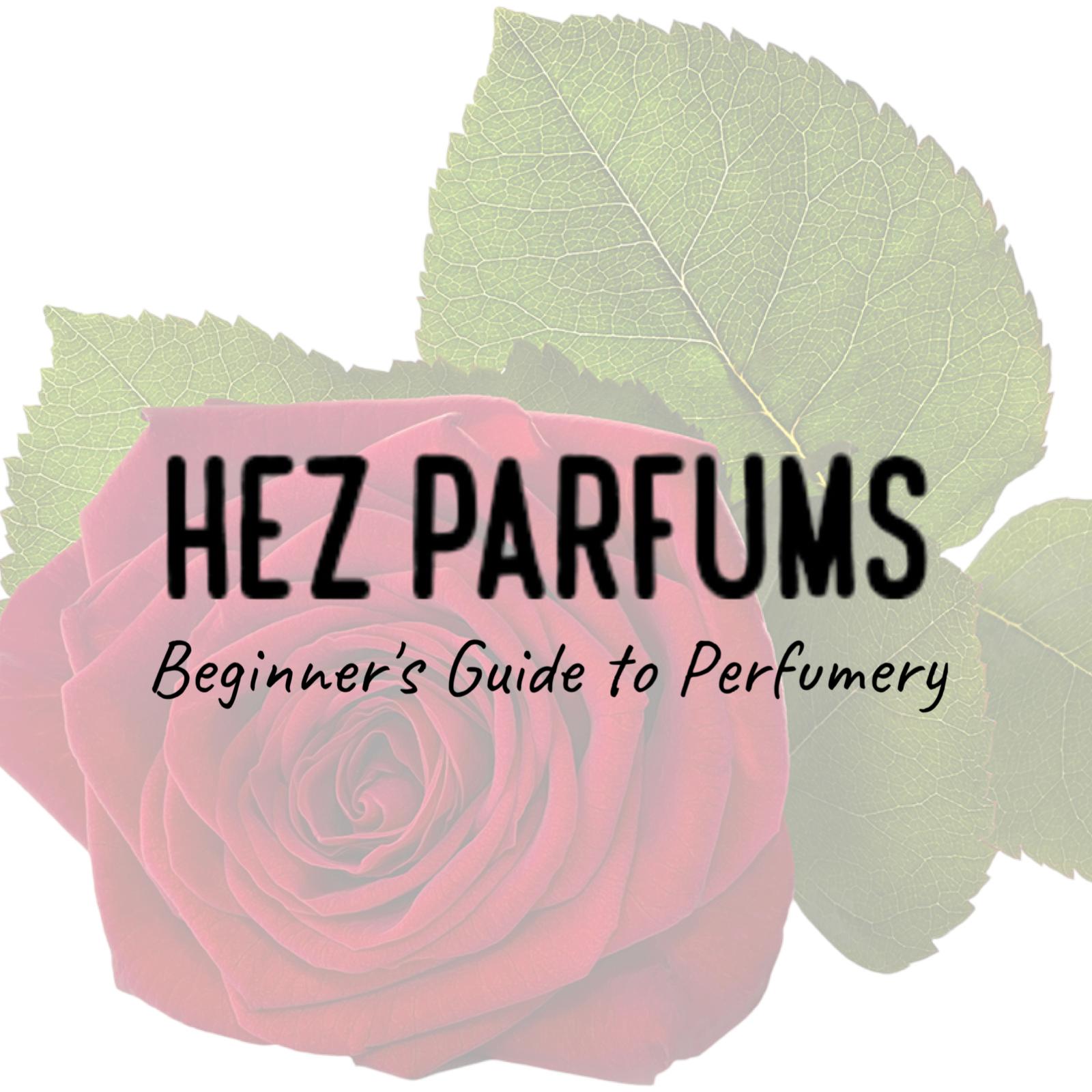 Hez Parfums Beginner's Guide to Perfumery 014 - Exploring Concretes in Perfumery