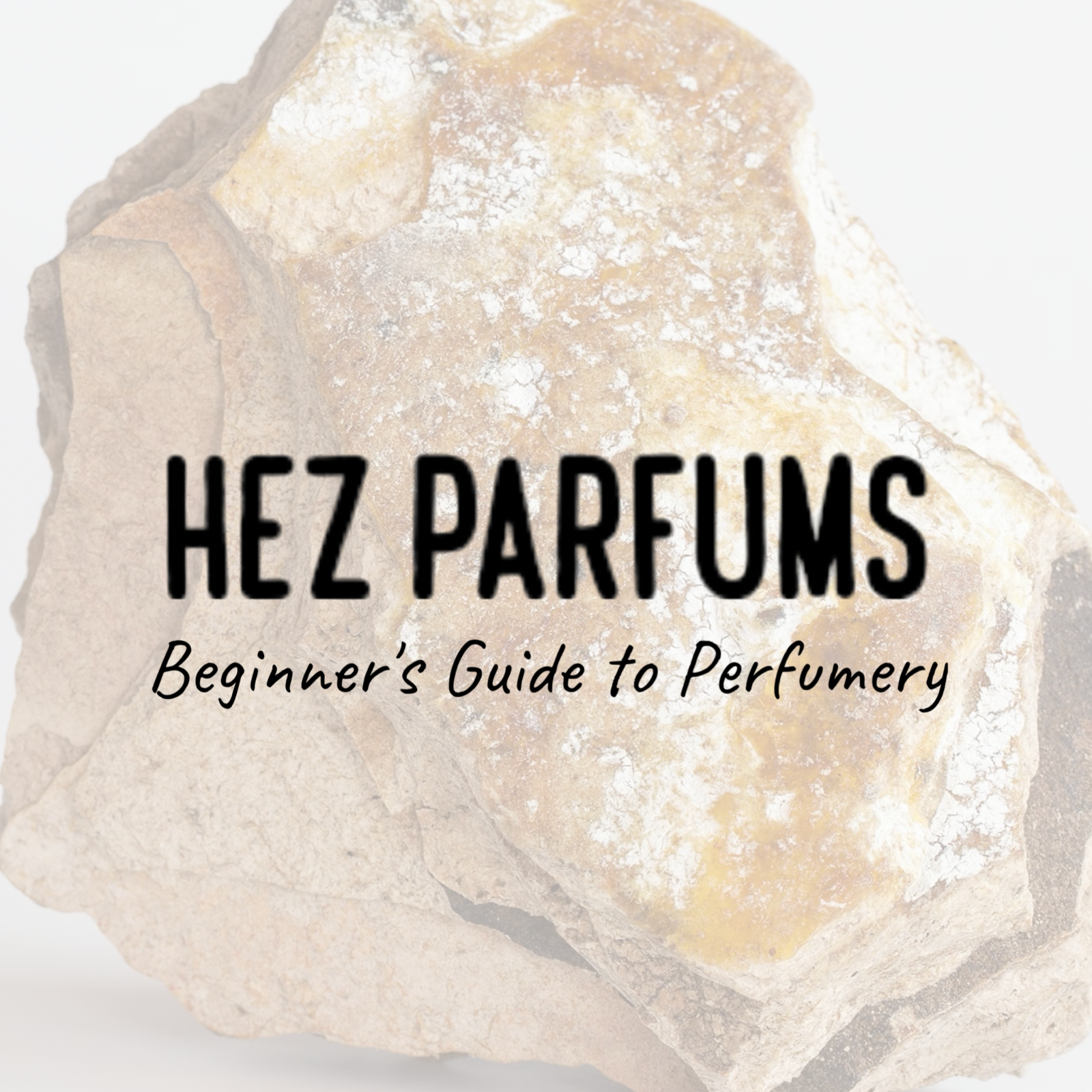 Hez Parfums Beginner's Guide to Perfumery 021 - The Allure of Ambergris