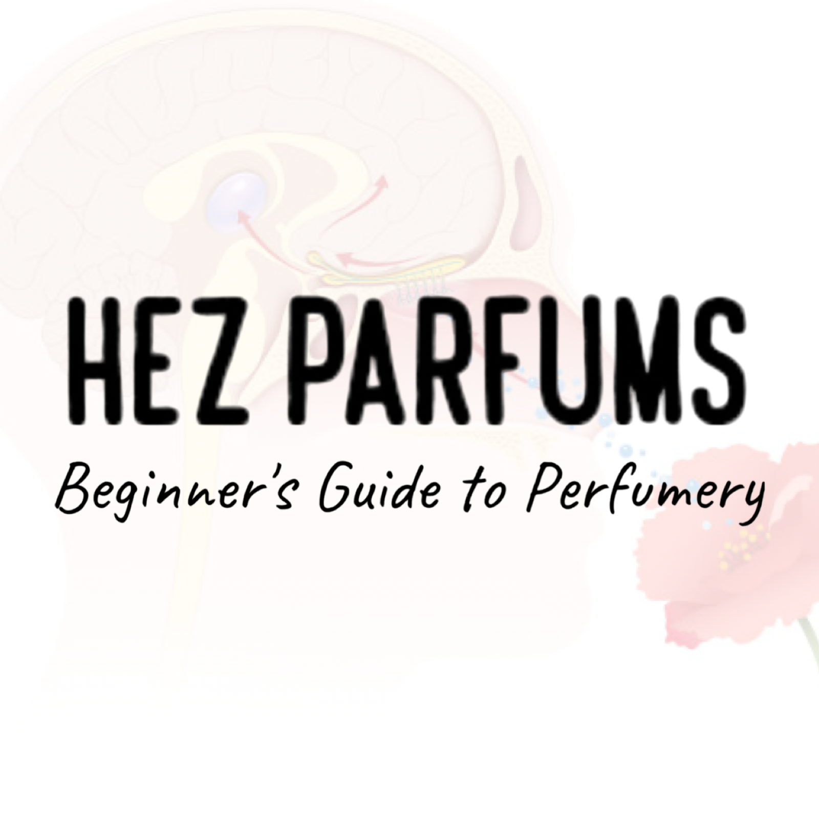 Hez Parfums Beginner's Guide to Perfumery 023 - The Science of Smell