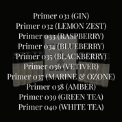 Primer Discovery Set IV