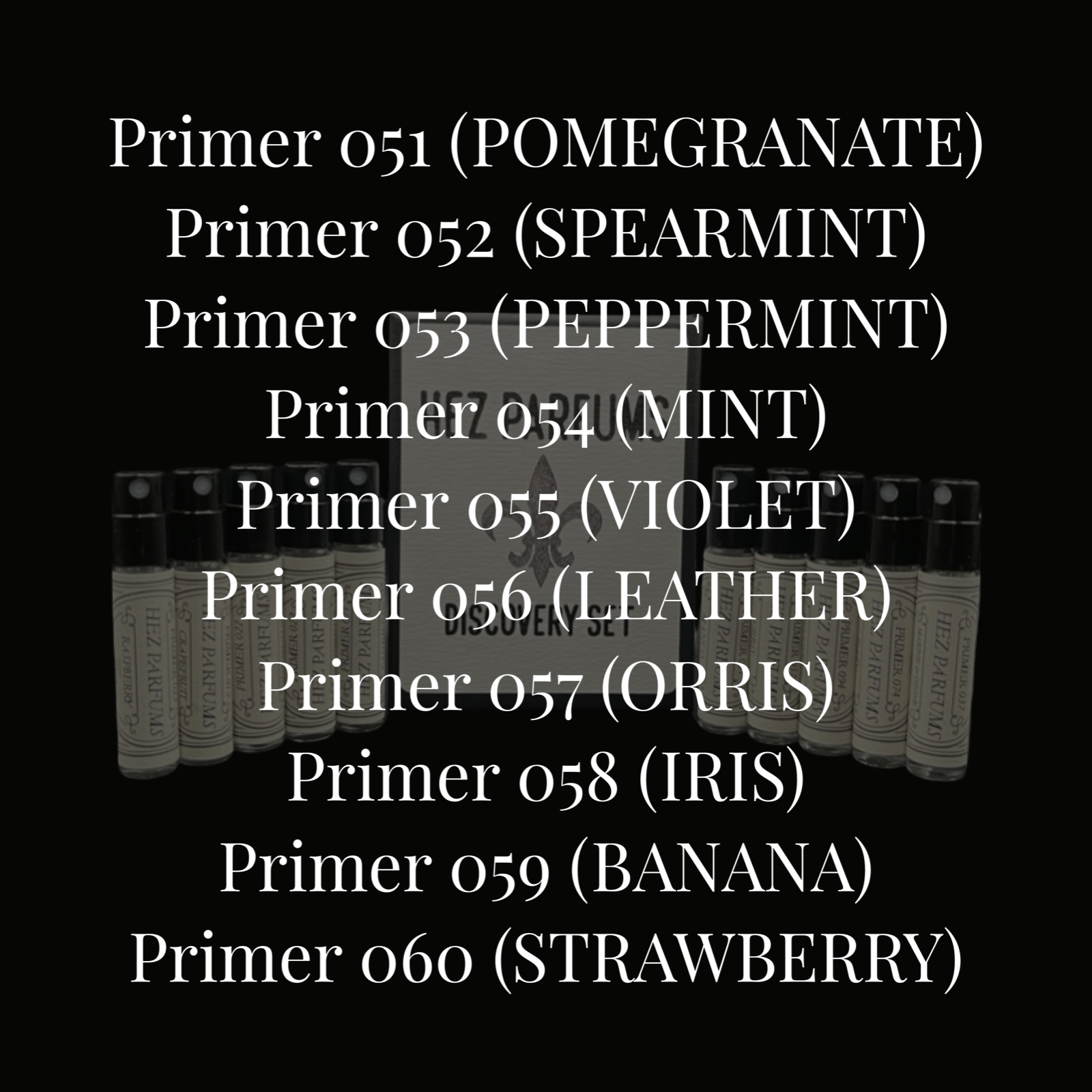 Primer Discovery Set VI