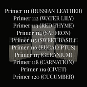 Primer Discovery Set XII
